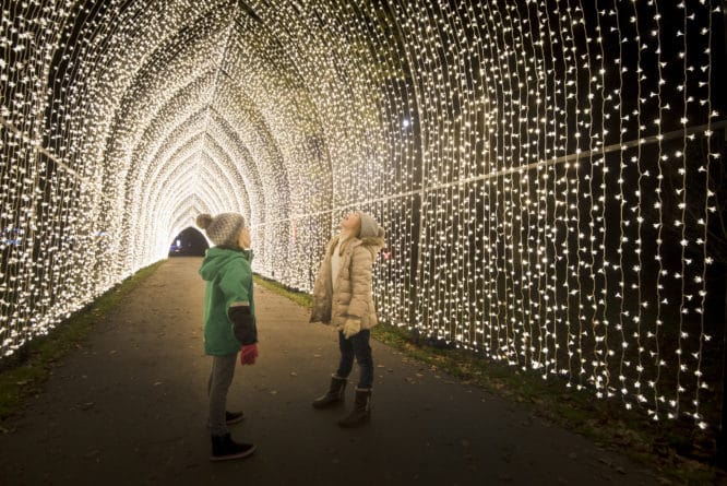 Two children standing under the arches of the christmas cathedral at the kew Christmas trail, one of the best places for mulled wine in London