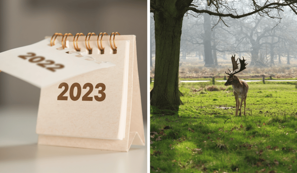 12 New Year’s Resolutions Every Londoner Should Make In 2023