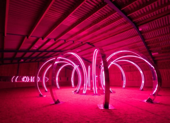 a room illuminated pink from the pink glow of the light installation within. The installation is composed of circular, bent, strips of framed lighting
