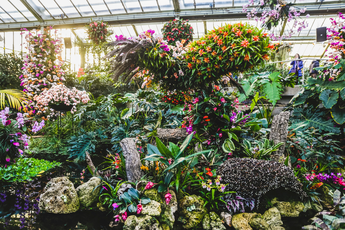 an installation of colourful orchids and plants making up a sculpture of a bird hovering over plants