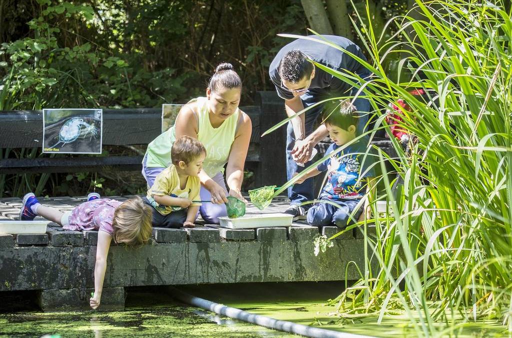 une famille assise sur un filet au bord d'un étang, regardant ce qu'elle a attrapé dans ses filets
