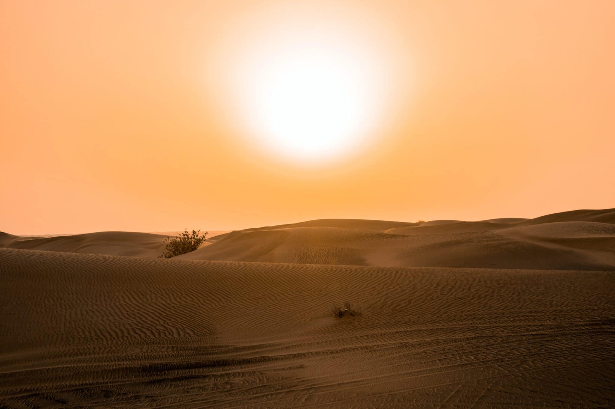 a picture of the desert because it is hot in London