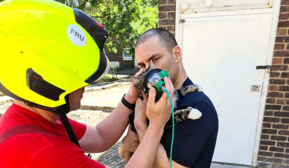 London Fire Brigade Are Now Giving Oxygen Masks To Rescued Pets