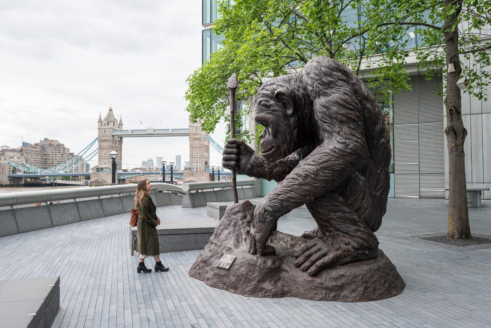 A Trail Of 28 Chimpanzee Sculptures Are Currently Scattered Across