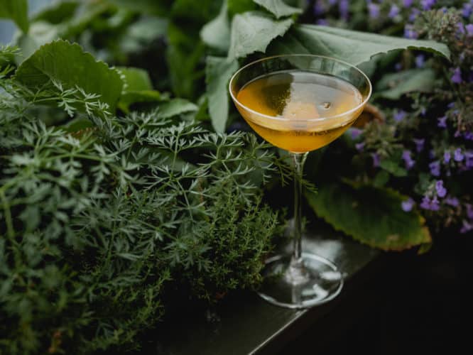 A delicious Golden Gatsby cocktail surrounded by foliage served at the Roof Garden in Belgravia