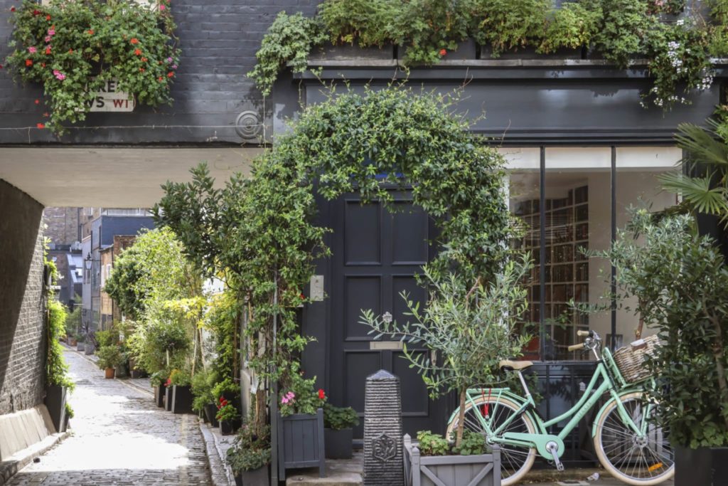 Warren Mews à Fitzrovia, avec une superbe photo d'un vélo à côté d'un arbre