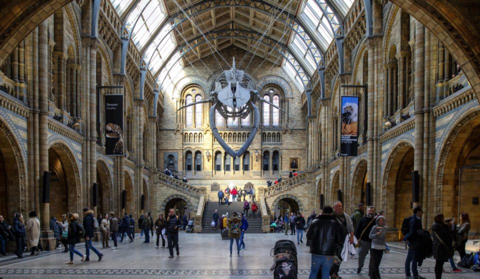 The Natural History Museum Was The Most-Visited London Attraction In 2022
