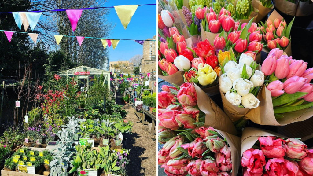 a shot of Battersea flower station (left), multiple bunches of brightly coloured tulips (left)