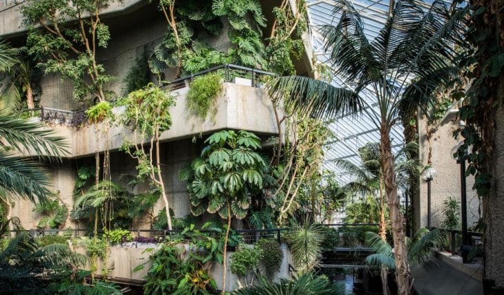 The Barbican Conservatory is giving away free plant cuttings ahead of its closure at the end of 2026 – here’s how to get a free plant from one of London’s most unique gardens