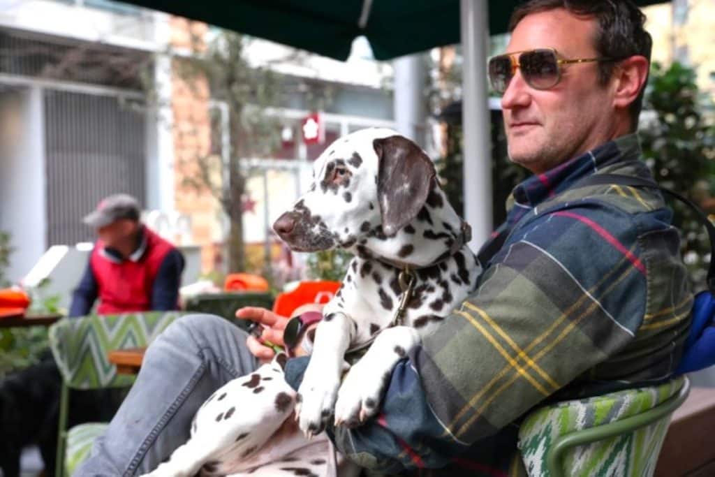 Pop+Bark: The Adorable Dalmatian Cafe Popping Up In London This Summer