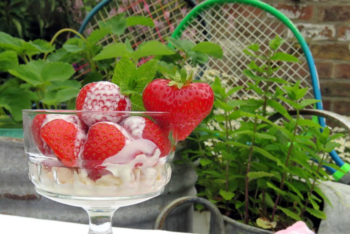 Take A Swing At Aldi's Swing Ball Championships This Summer