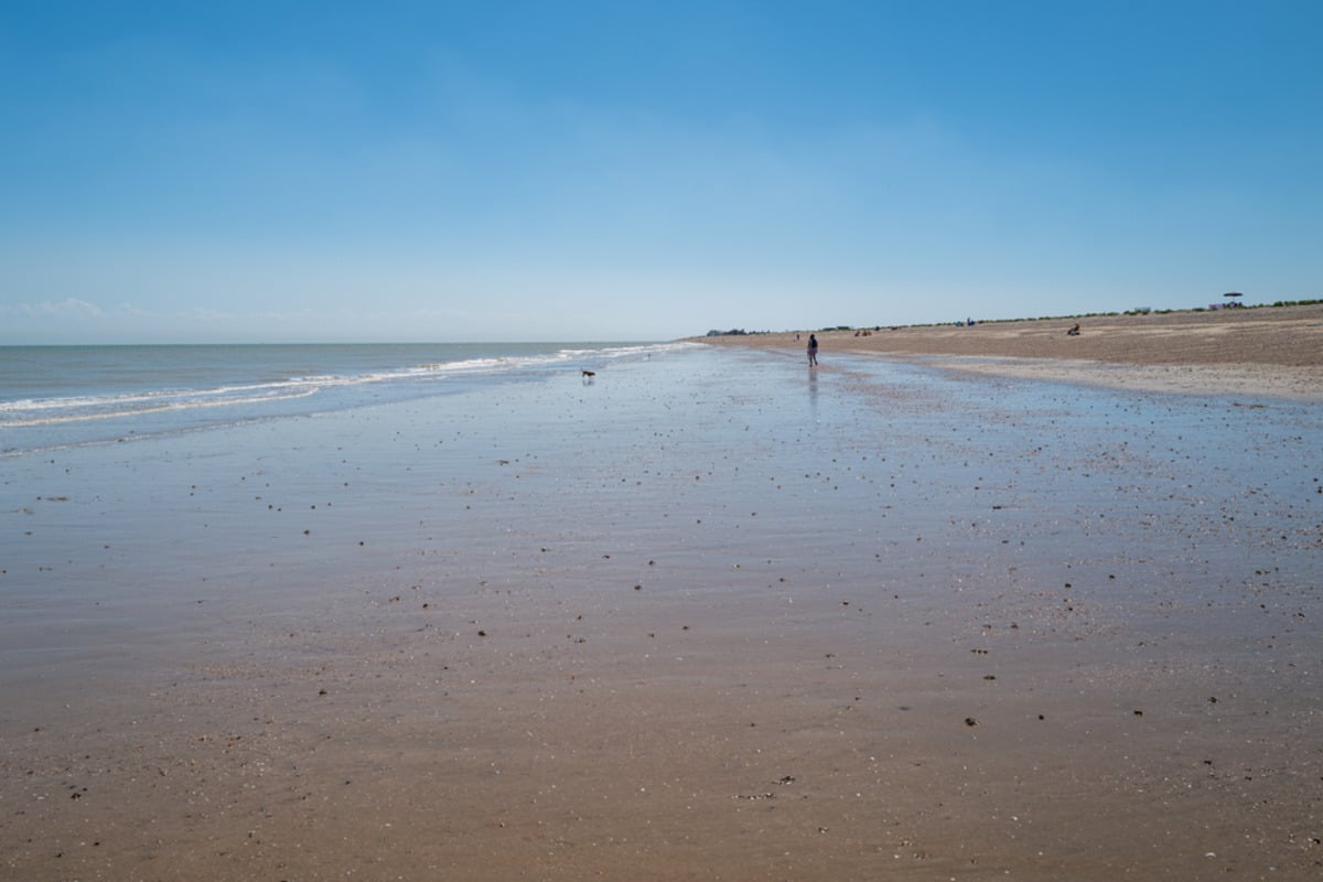 9 DogFriendly Beaches Near London To Take Your Pooch