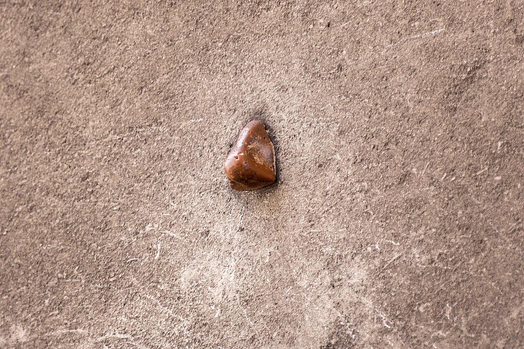 One of the Seven Hidden Noses in Soho, attached to a building.