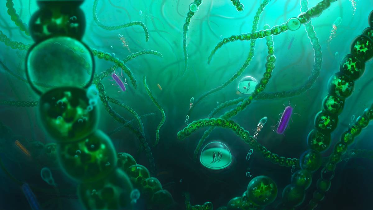 Life Chronicles The Epic Virtual Reality Experience Is Now Open