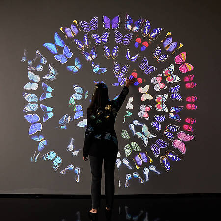 New London Exhibition Features Interactive Technicolour Butterflies