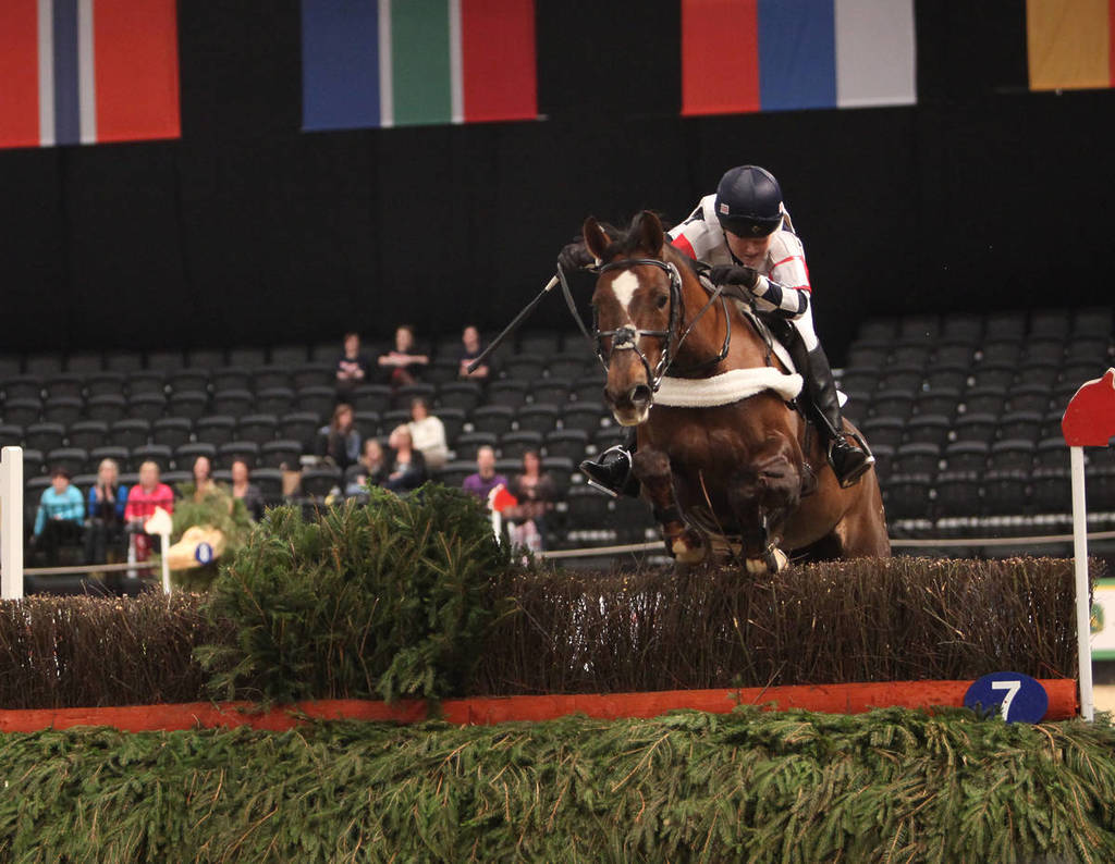 a rider on a horse competing in a show jumping competition