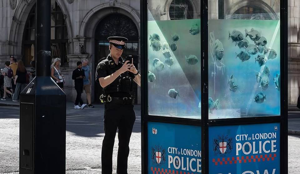Two More Banksy Animal Artworks Landed In London Over The Weekend