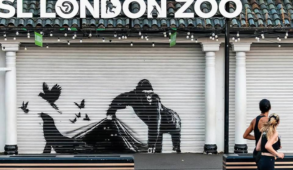 A Ninth Banksy Animal Artwork Has Arrived At London Zoo