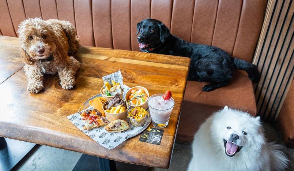 The UK’s First Ever Street Food Market For Dogs Is Coming To London Soon – And Dogs Get To Eat For Free