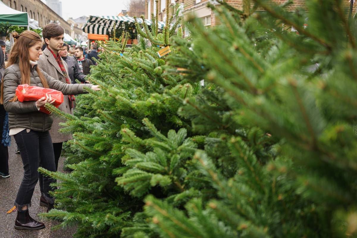 People looking at a stall selling Christmas trees at Columbia Road Flower Market