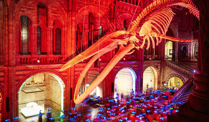 You can party beneath a huge blue whale skeleton at the Natural History Museum – here’s how to snap up a ticket to the most sought-after silent disco in London
