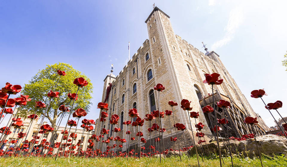 Thousands Of Ceramic Poppies Have Filled The Tower Of London In A Breathtaking Commemorative Display – And There’s Only A Few Days Left To See Them