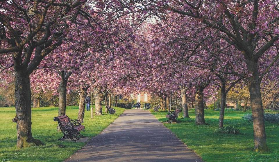 The Clocks Have Officially Gone Forward, This Is What You Should Do With Your Extra Hour Of Daylight