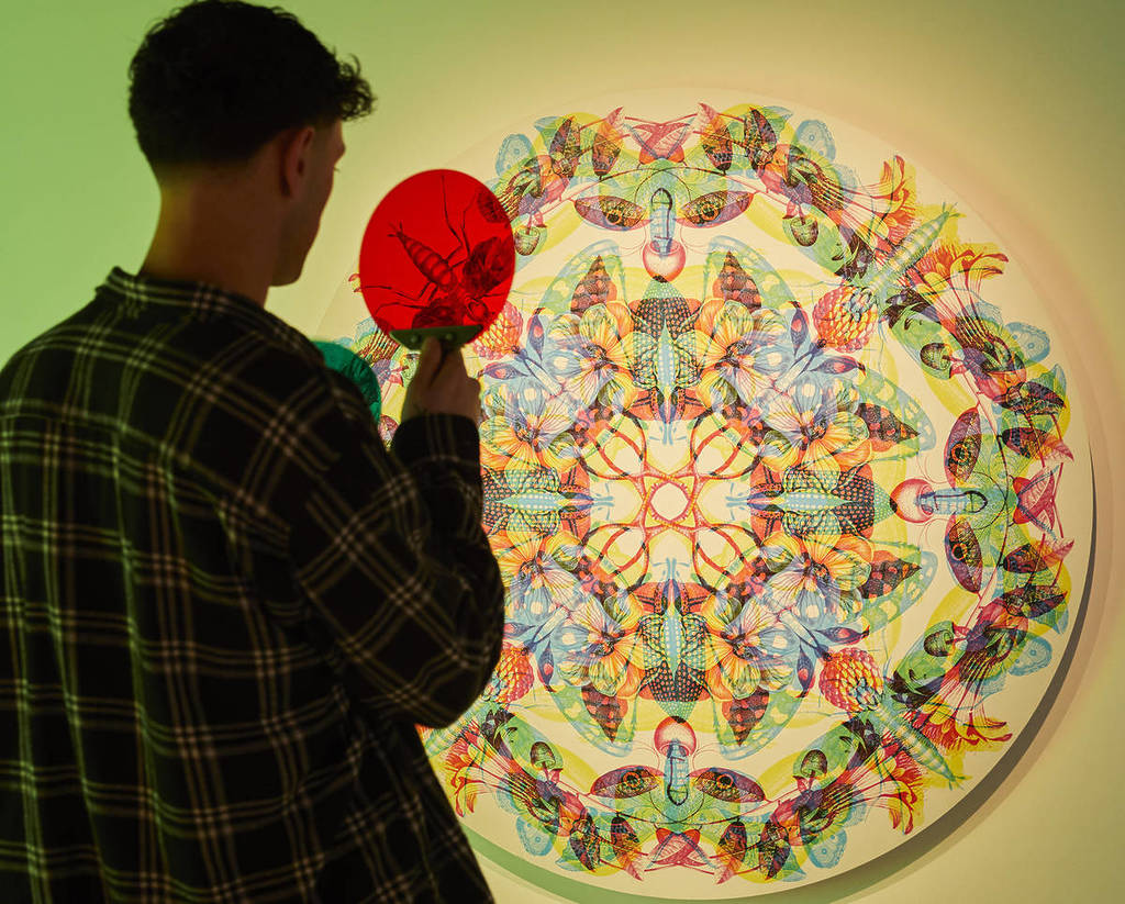 a man looks at a kaleidoscope style artwork at Twist Museum