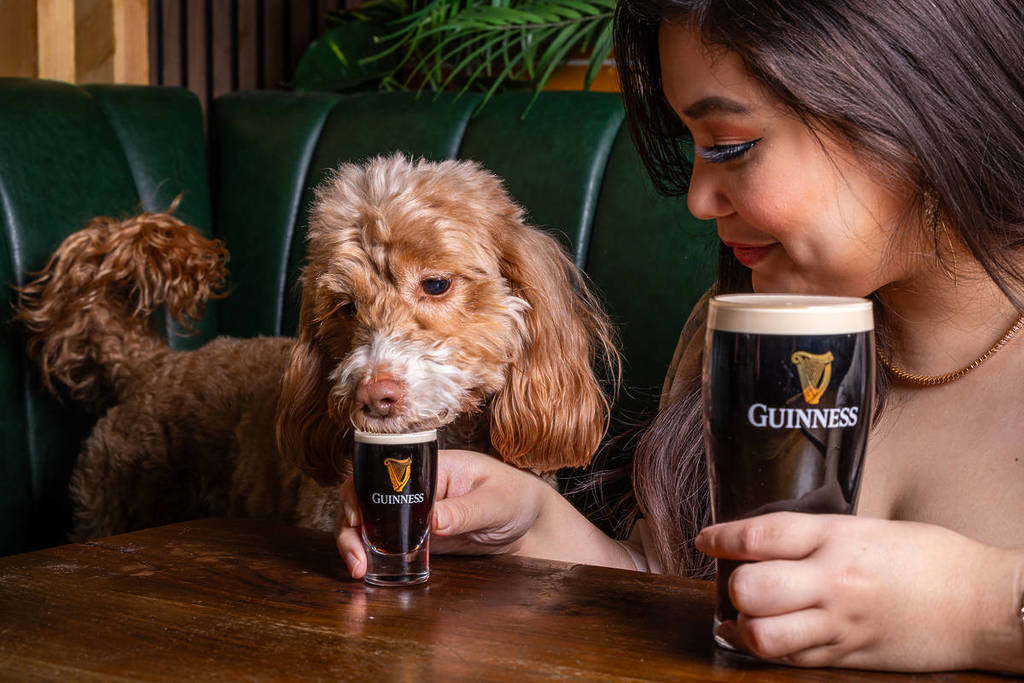 a dog and its owner enjoying their own guinness drinks