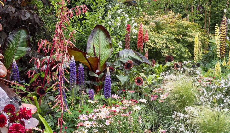London Is Officially Home To The Second Best Flower Festival In Europe – Beaten Only By Amsterdam’s Famous Tulip Festival