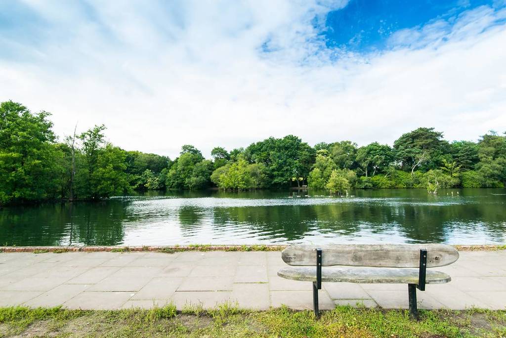 Een bank met uitzicht op het water in een landschapspark in Wokingham