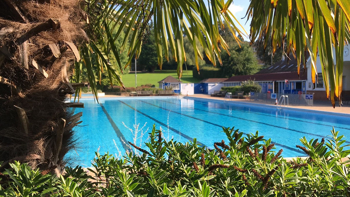 A swimming pool seen through some greenery