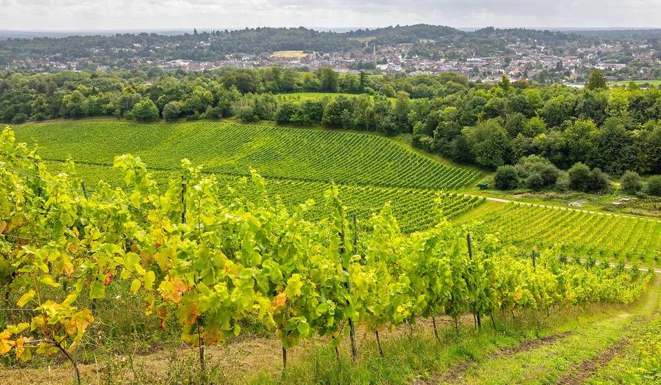 This Gorgeous Wine Route Nestled Within An Area Of Outstanding Natural Beauty Features Five Vineyards &#8211; And It&#8217;s Only A Stone&#8217;s Throw From London