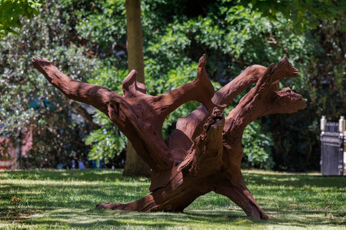 a sculptural installation representing tree roots, in a city garden setting