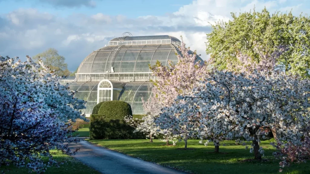 palm house at kew gardens during spring time