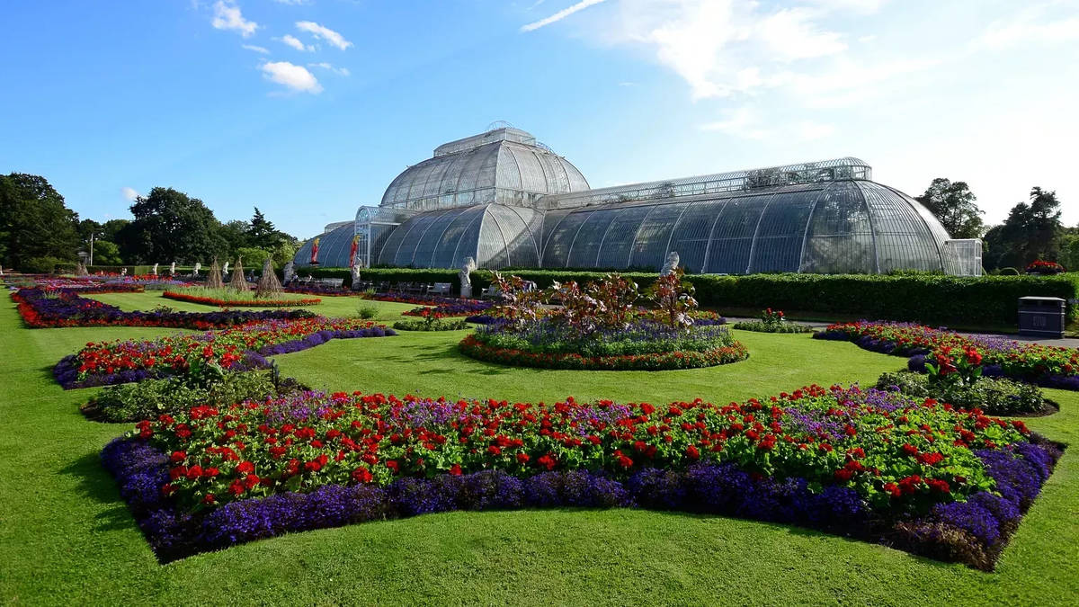 exteriors of palm house