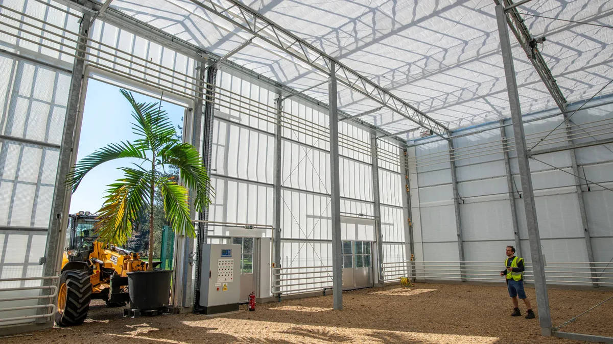 a potted palm tree entering a temporary glasshouse