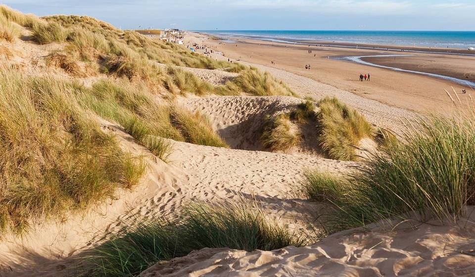 Questa splendida spiaggia sabbiosa è stata appena nominata una delle più accoglienti per i cani del Regno Unito – e si trova a sole 2 ore da Londra