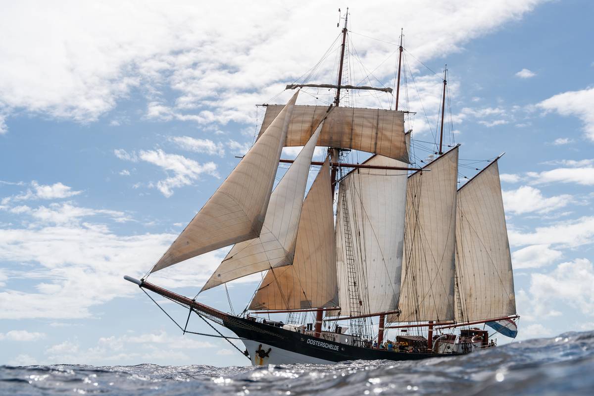 The Oosterschelde ship sailing on the sea
