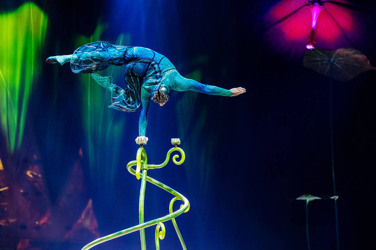 Circus performer from Cirque du Soleil