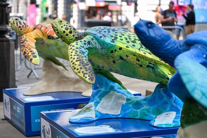 Trail of turtle models laid out in a row, with orange, green, and blue, numbers set up in London for the Tusk charity