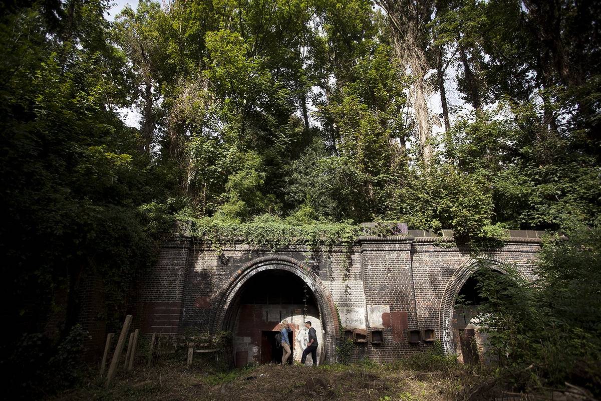 In the 1930s, Highgate station was set to become a major interchange in the Northern Heights project. It ended up an urban wilderness instead: its tunnels, abandoned in 1970, have been a protected bat habitat since 1999