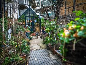 There&#8217;s A Hidden Oasis Tucked Behind Buckingham Palace &#8211; And It&#8217;s Just Been Named One Of The Best Secret Gardens In Europe