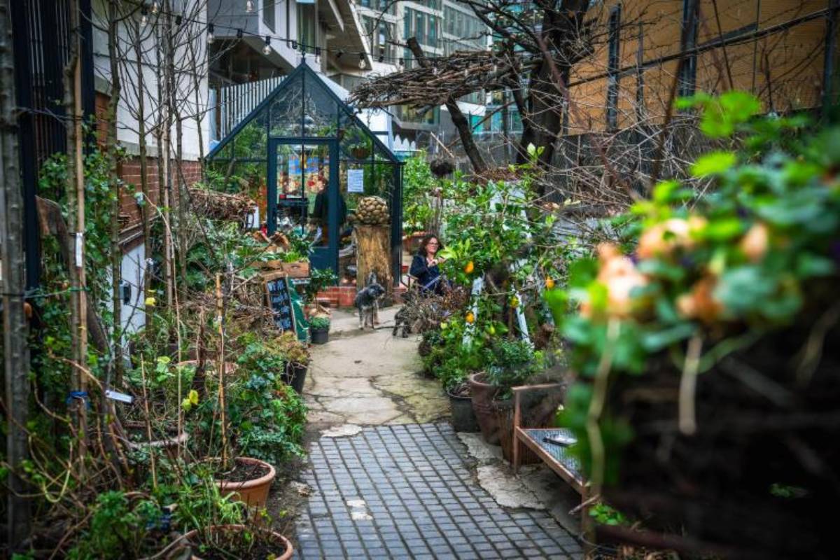 There’s A Hidden Oasis Tucked Behind Buckingham Palace