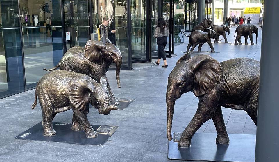 Las icónicas estatuas de bronce de elefantes de Spitalfields se alinean esta semana para formar la nueva instalación «Every Step Matters» (Cada paso cuenta), que ayudará a concienciar sobre la conservación de los elefantes.