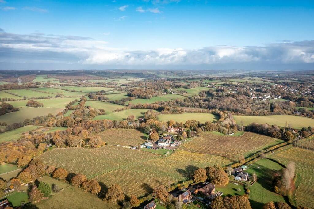 A view across the land on which Carr Taylor vineyard sits