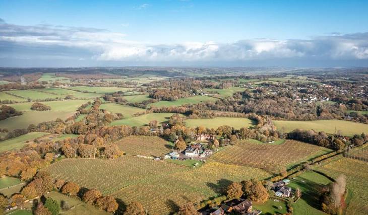 Il vigneto che ha prodotto il primo spumante d&#8217;Inghilterra è in vendita e si trova in un&#8217;area di straordinaria bellezza naturale a sole due ore da Londra