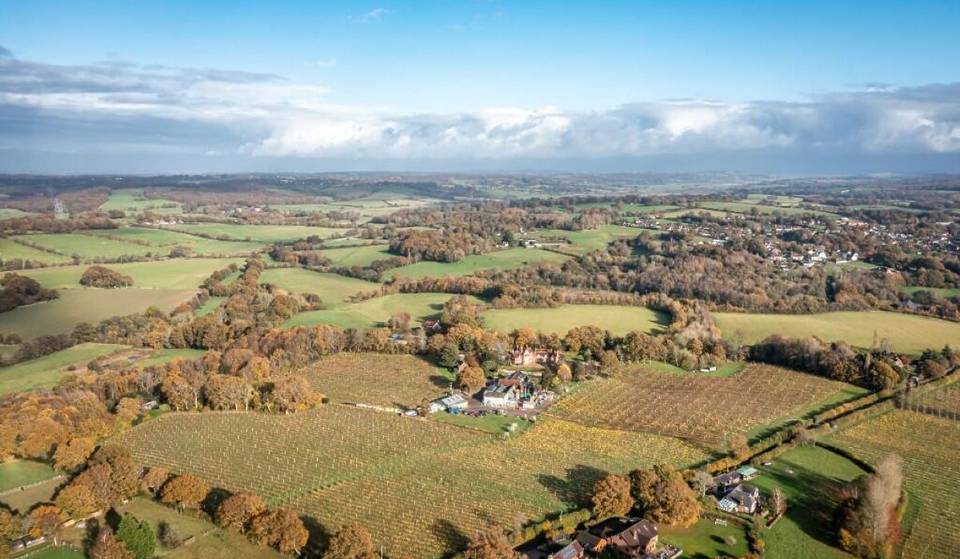 The Vineyard That Produced England’s First Sparkling Wine Is Up For Sale – And It’s Set Within An Area Of Outstanding Natural Beauty Just Two Hours From London