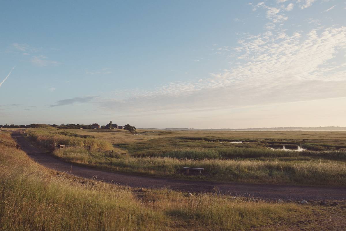 elmley nature reserve at sunrise