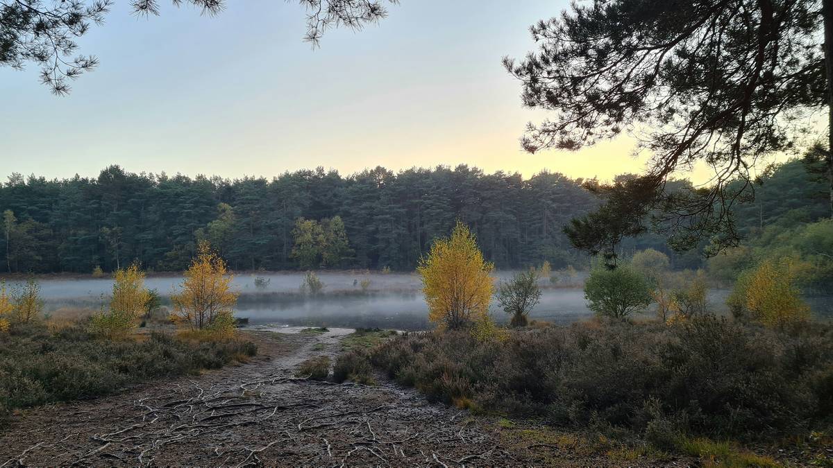 This Surrey Spot Has Been Named The Best London Commuter Town